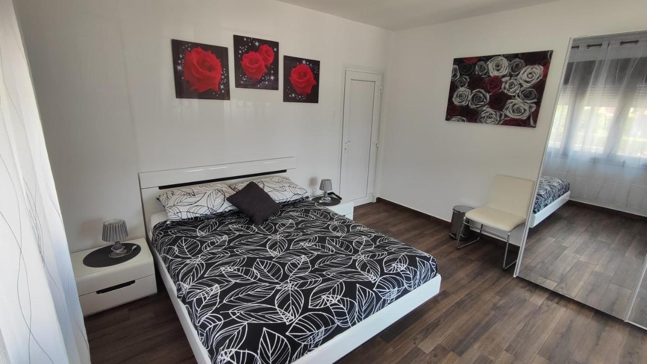 Viktor Rooms And Apartments Rovinj Exterior foto